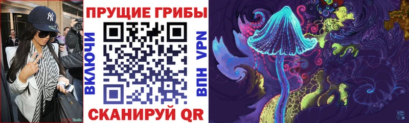 Галлюциногенные грибы Magic Shrooms  Купить  Североморск 